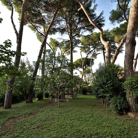 Guest house Comfort Gaia Tor Vergata Rome
