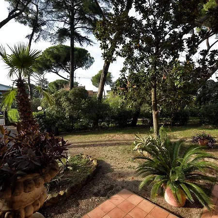Guest house Comfort Gaia Tor Vergata Rome