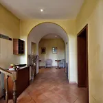 Comfort Gaia Tor Vergata